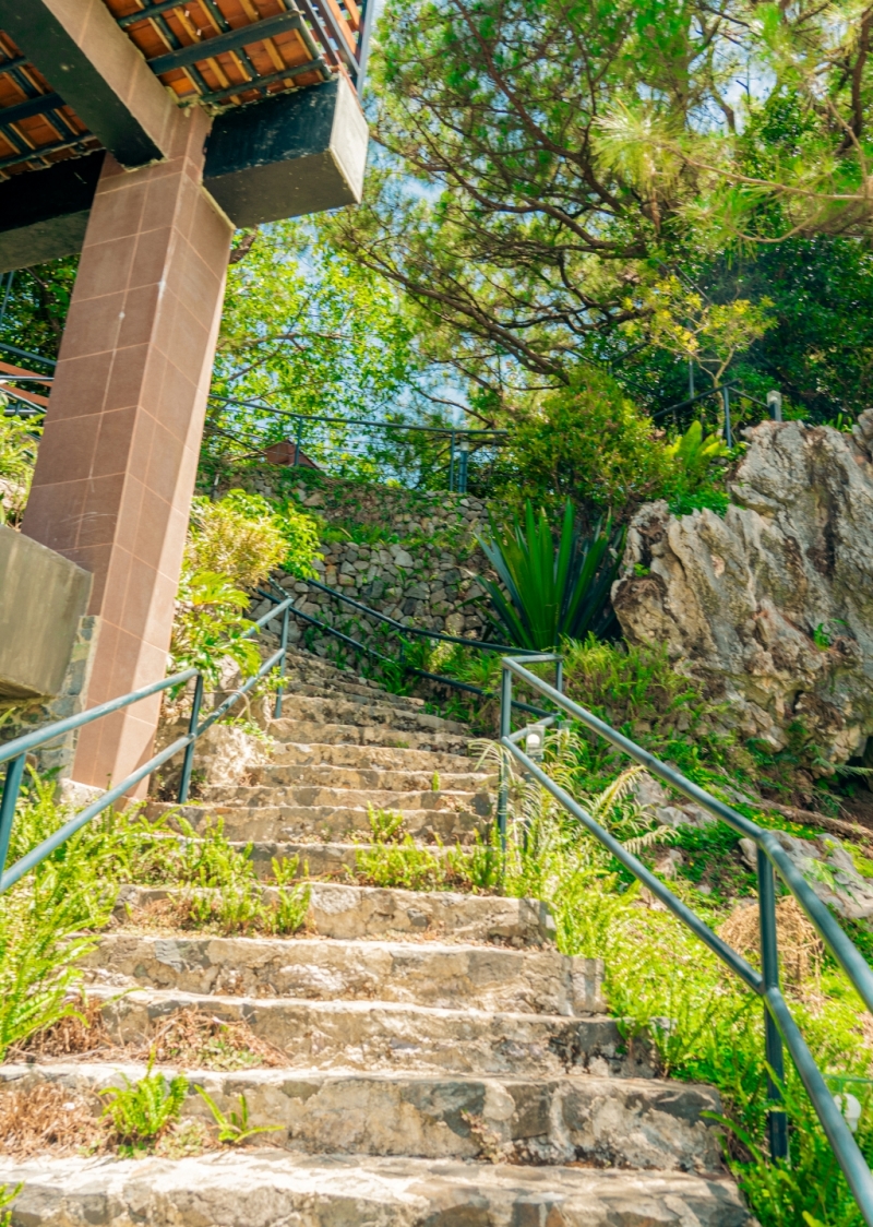 フィリピン留学 Cebu21 - Baguio JIC Premium campus-Garden - ETC-3